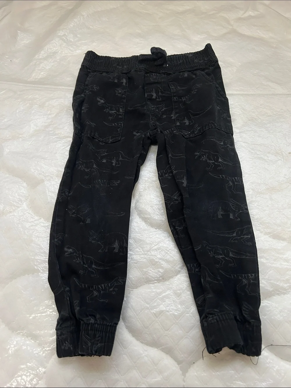 Garanimals Black Jogger Pants with Dinosaur Print